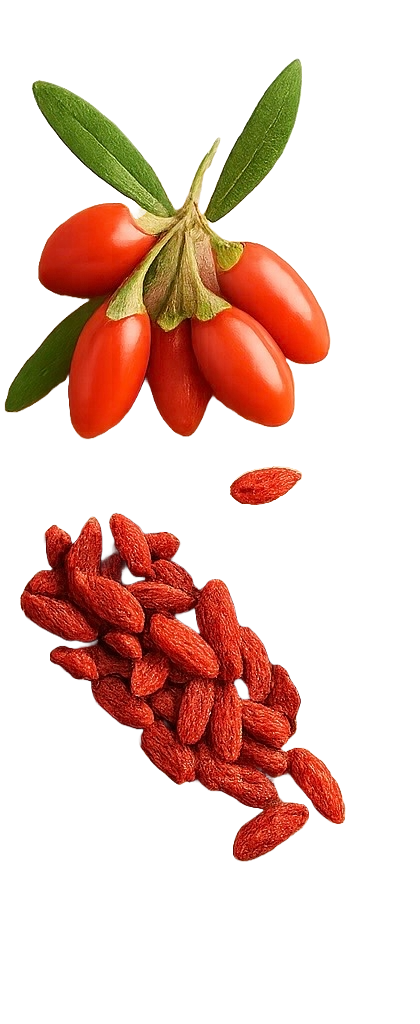 Bagas de Goji