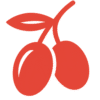 Ícone gráfico de baga de goji, design SanaGoji