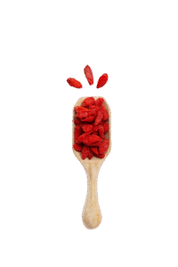 Colher Artesanal Bagas de Goji, SanaGoji