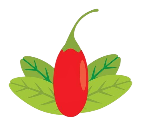 Ilustração Baga de Goji, SanaGoji