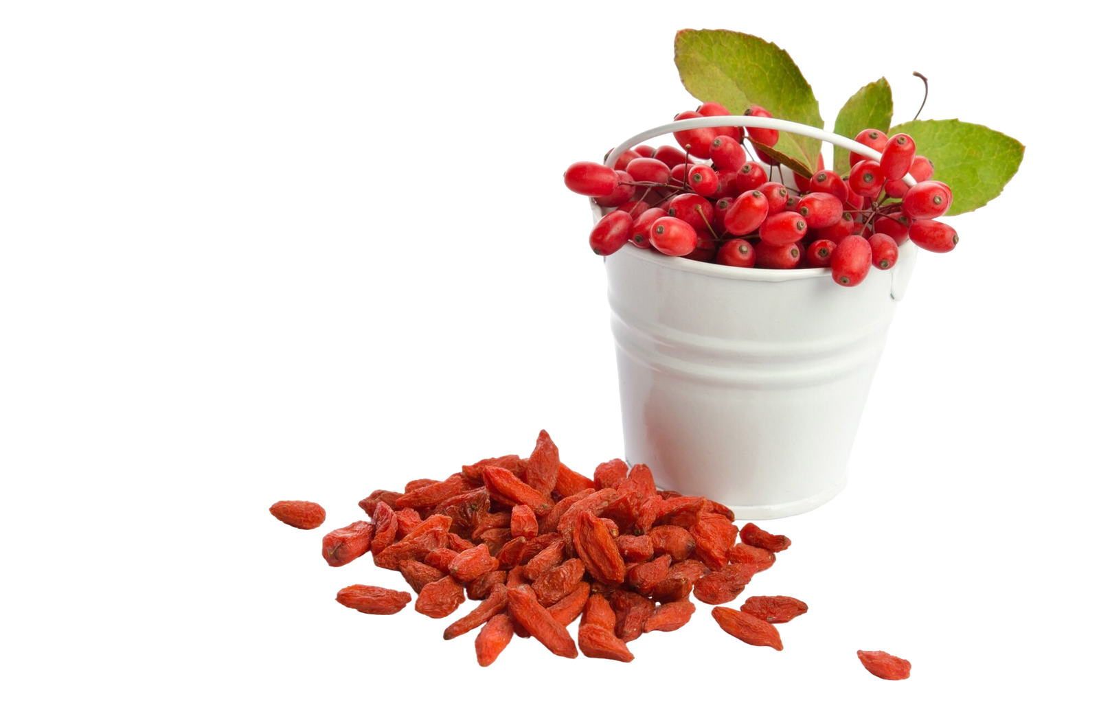 Bagas de goji desidratadas ricas em antioxidantes