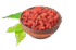 Cestinha Bagas de Goji, SanaGoji